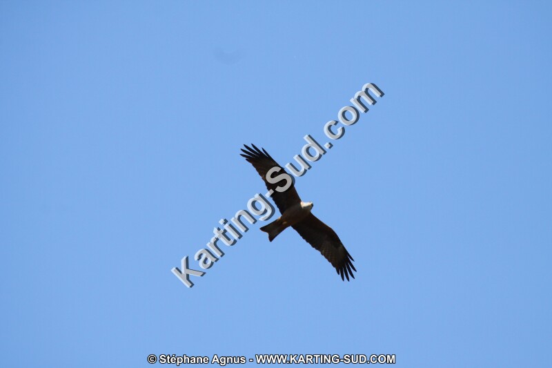 IMG_5784.JPG