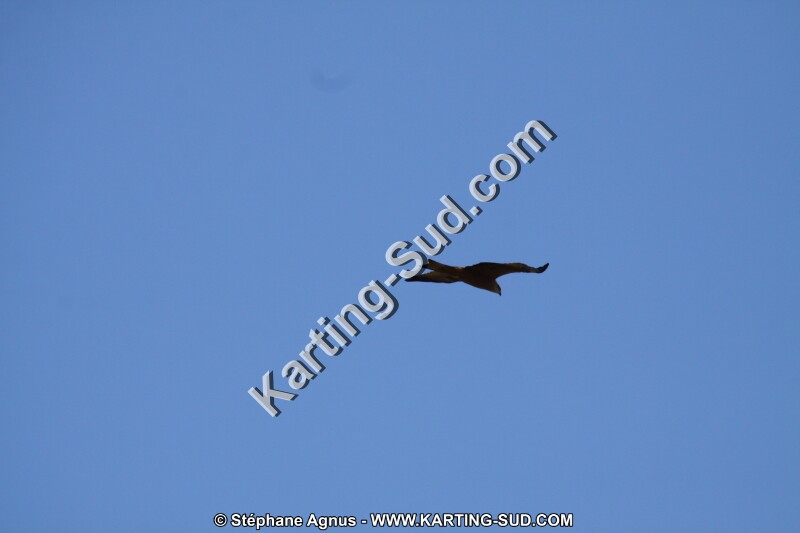 IMG_5786.JPG