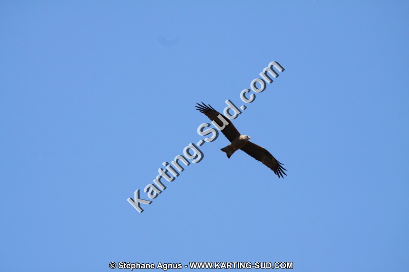 IMG_5787.JPG