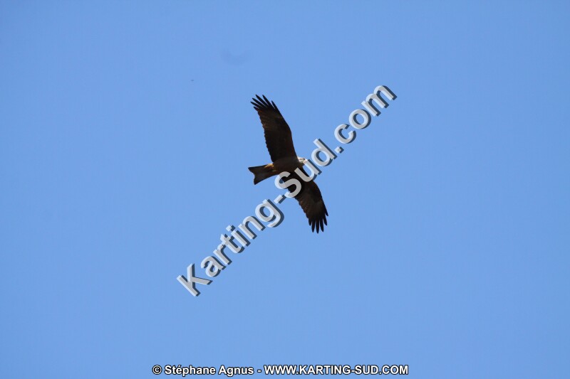 IMG_5788.JPG