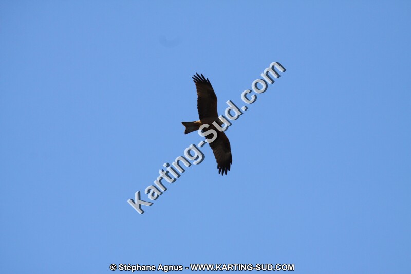 IMG_5789.JPG