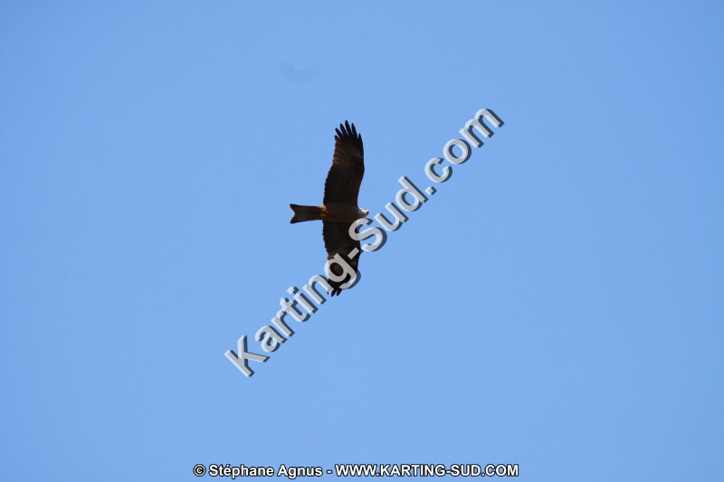 IMG_5790.JPG