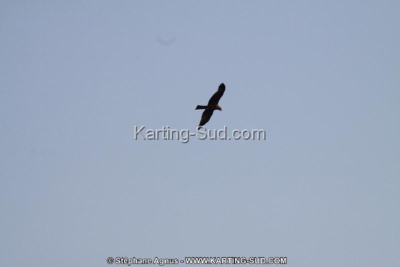 IMG_4630.JPG