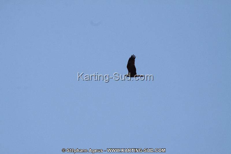 IMG_5491.JPG