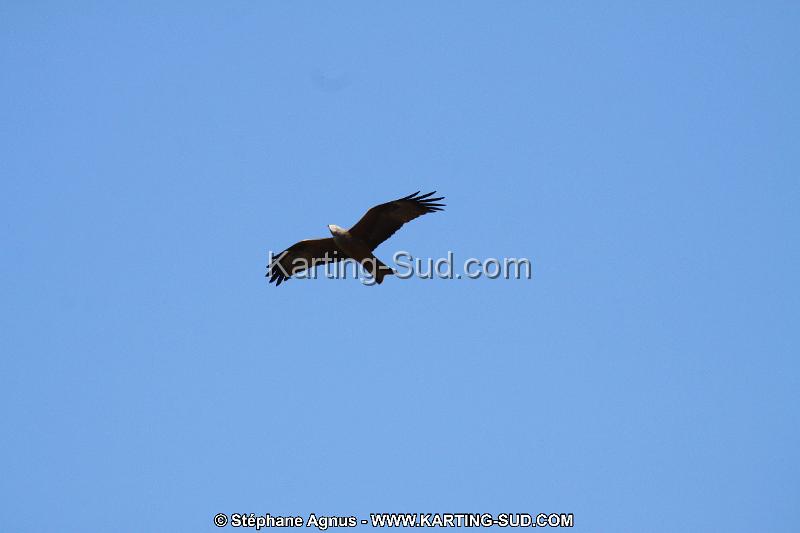 IMG_5780.JPG