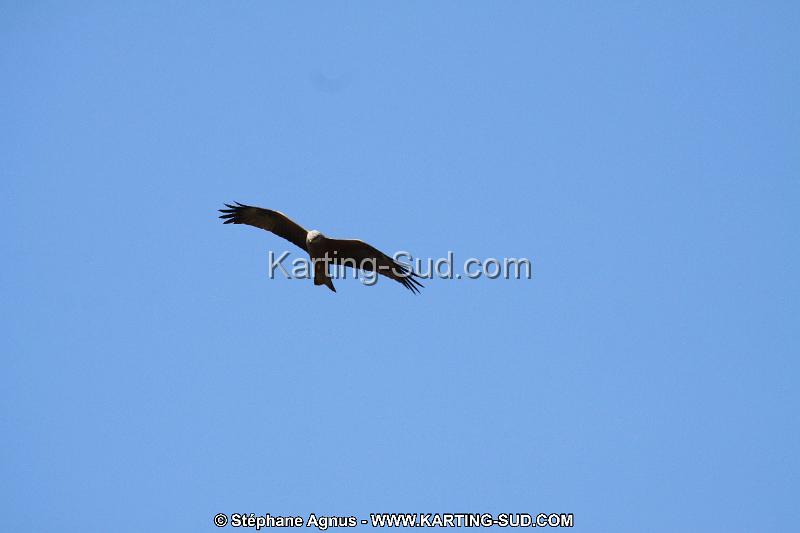 IMG_5782.JPG