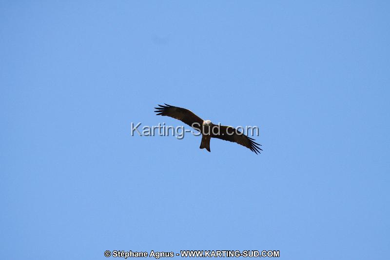 IMG_5783.JPG
