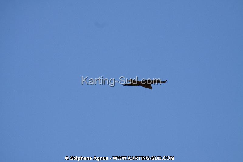 IMG_5786.JPG