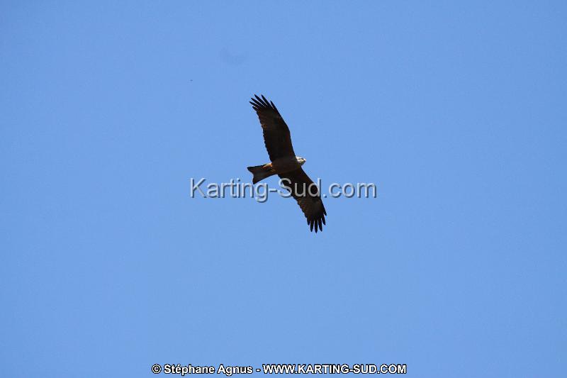 IMG_5788.JPG