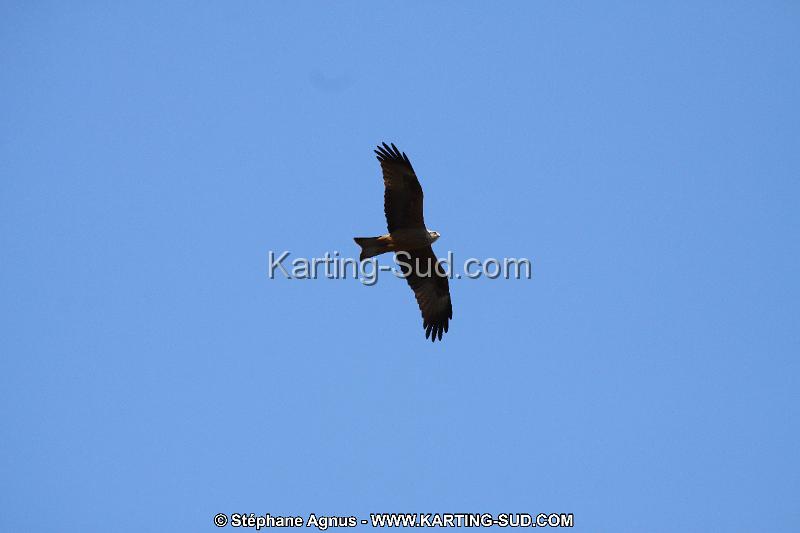 IMG_5789.JPG