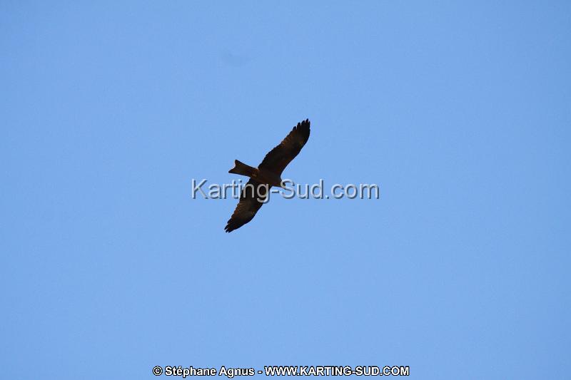 IMG_5791.JPG