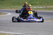 IMG_5392