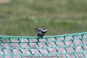 IMG_5585