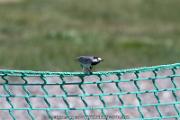 IMG_5586