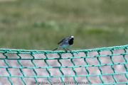 IMG_5587