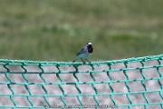 IMG_5588