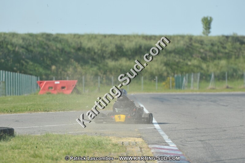 DSC_3546.JPG