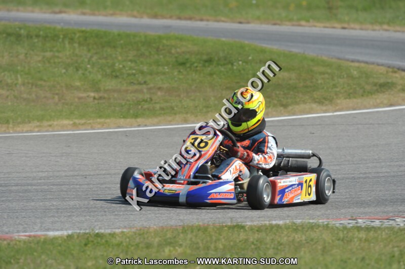 DSC_3697.JPG