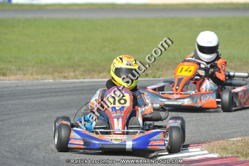 DSC_3709.JPG