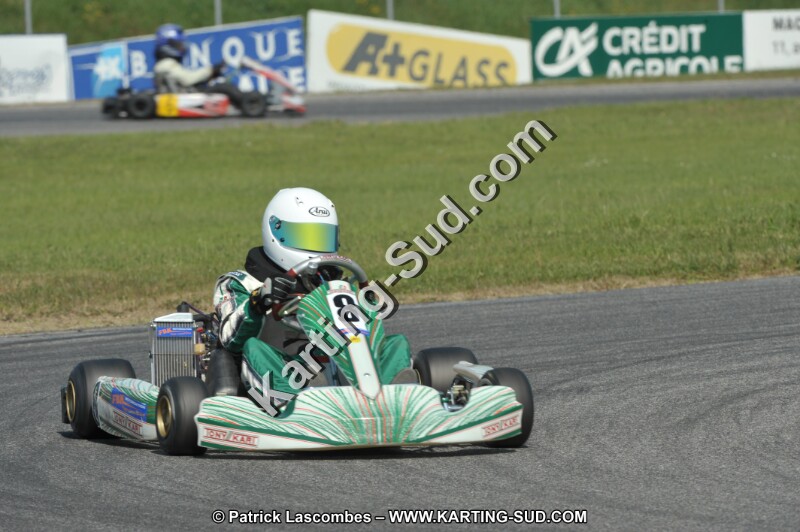 DSC_3790.JPG