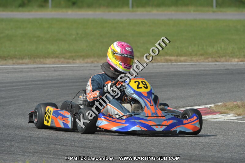 DSC_3913.JPG