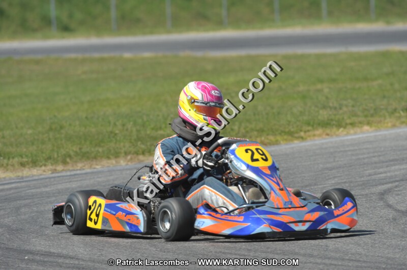DSC_4310.JPG