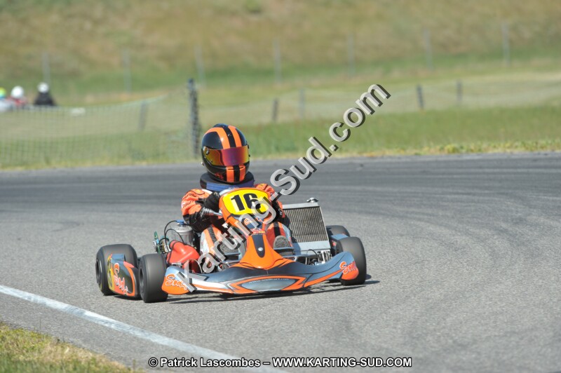 DSC_4418.JPG