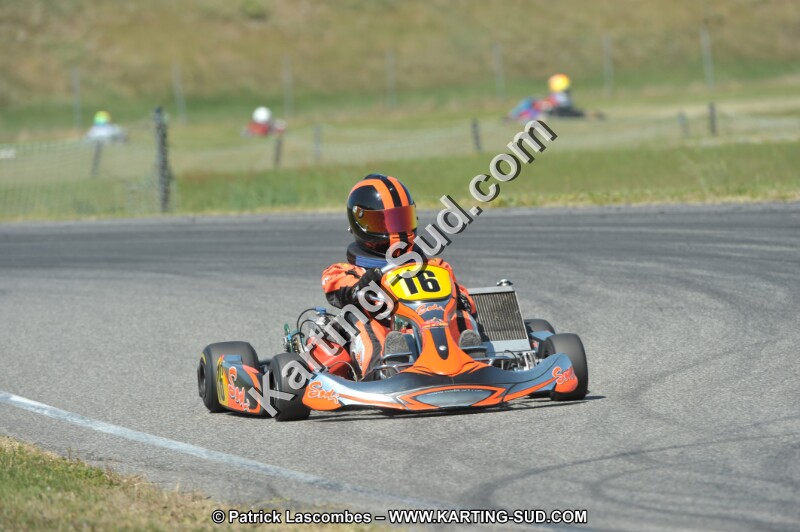 DSC_4432.JPG