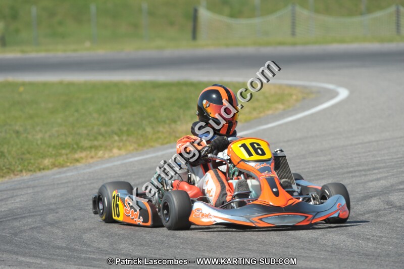 DSC_4529.JPG