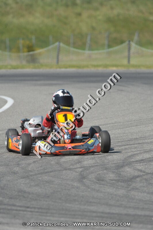 DSC_4567.JPG