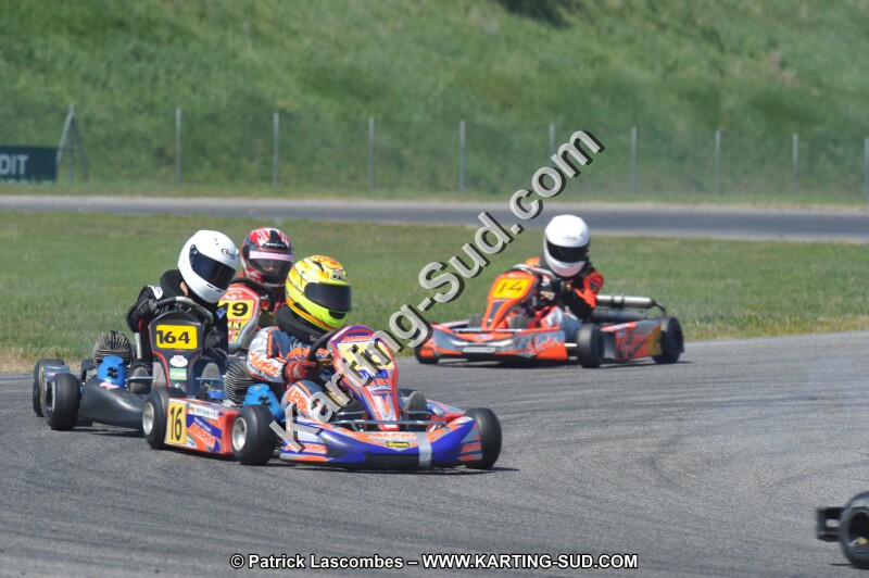 DSC_6234.JPG
