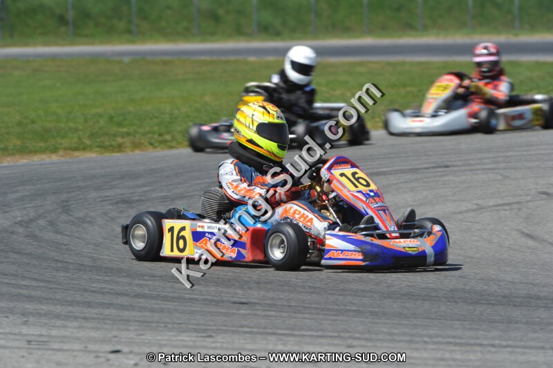 DSC_6244.JPG