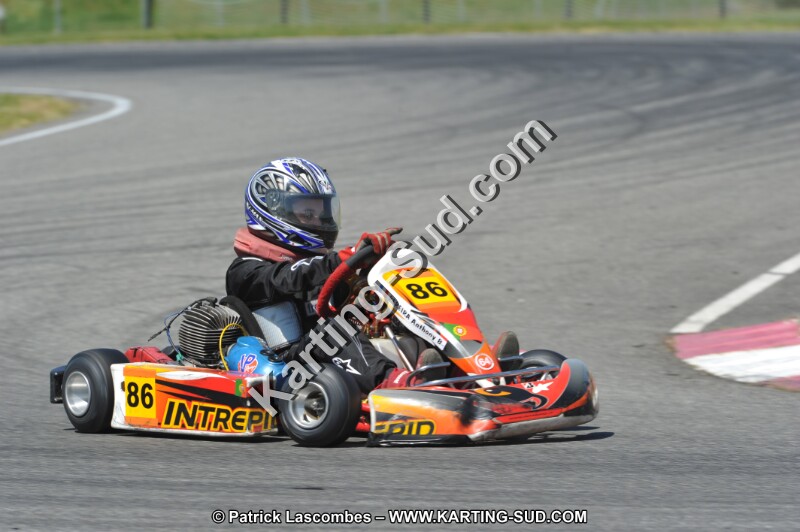 DSC_6278.JPG