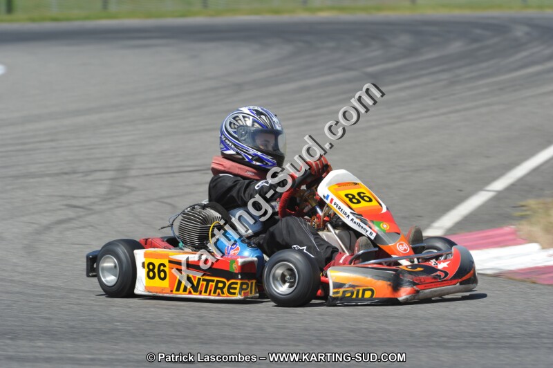 DSC_6296.JPG