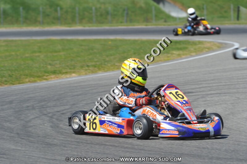 DSC_6316.JPG