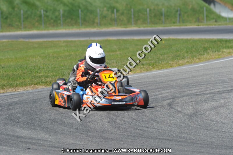 DSC_6319.JPG