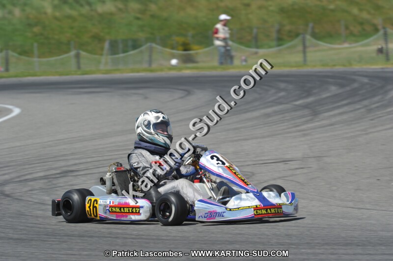 DSC_6389.JPG