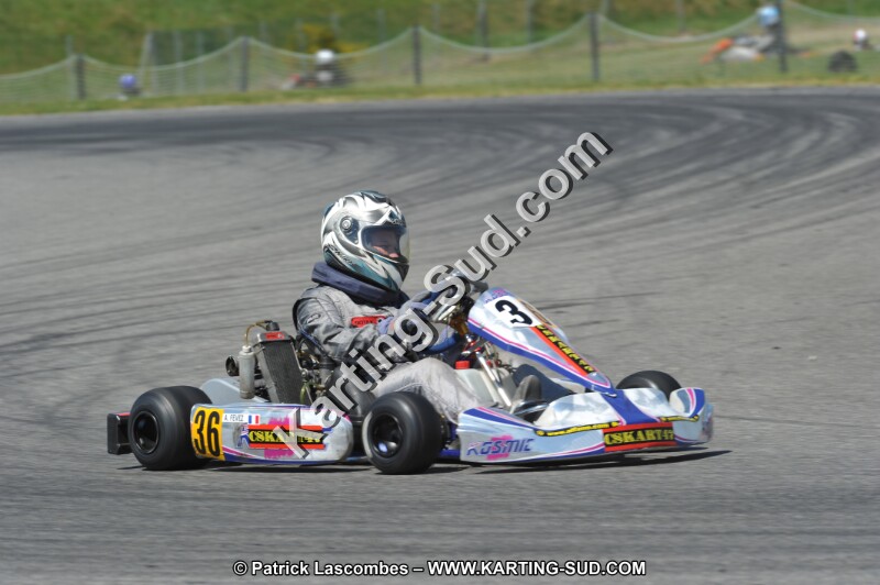 DSC_6408.JPG