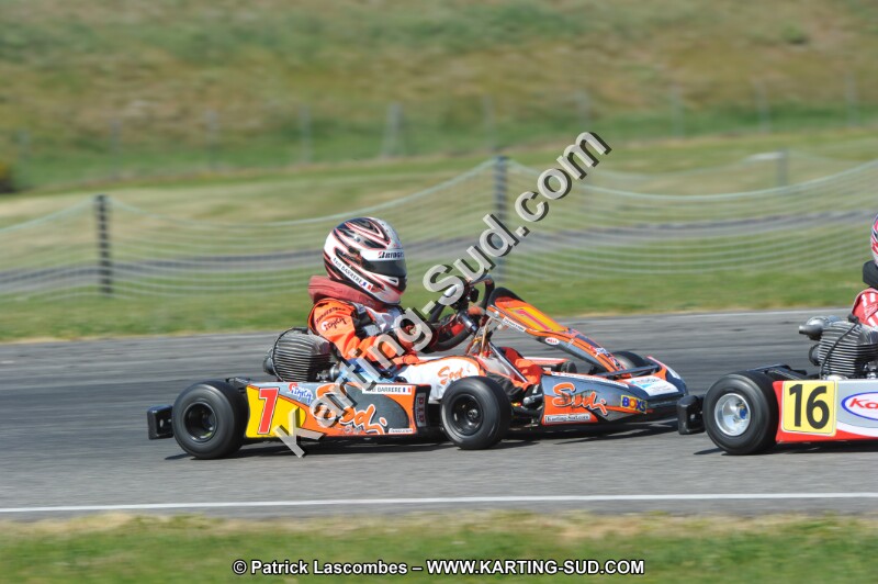 DSC_6469.JPG