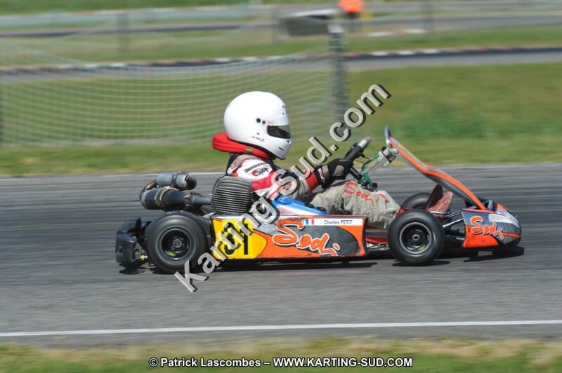 DSC_6488.JPG