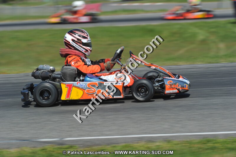 DSC_6490.JPG
