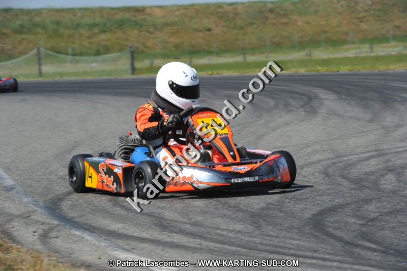 DSC_6545.JPG