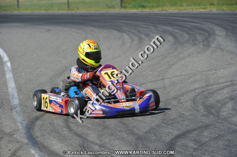 DSC_6585.JPG