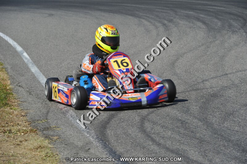DSC_6611.JPG
