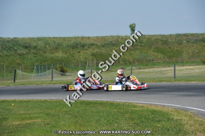 DSC_6619.JPG