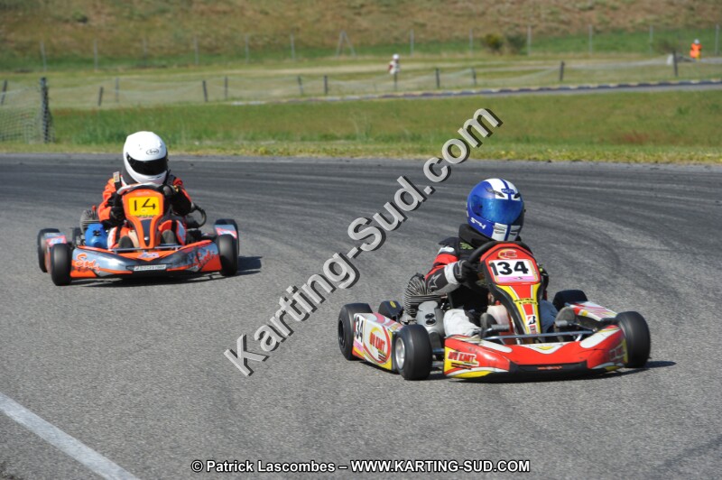 DSC_6623.JPG