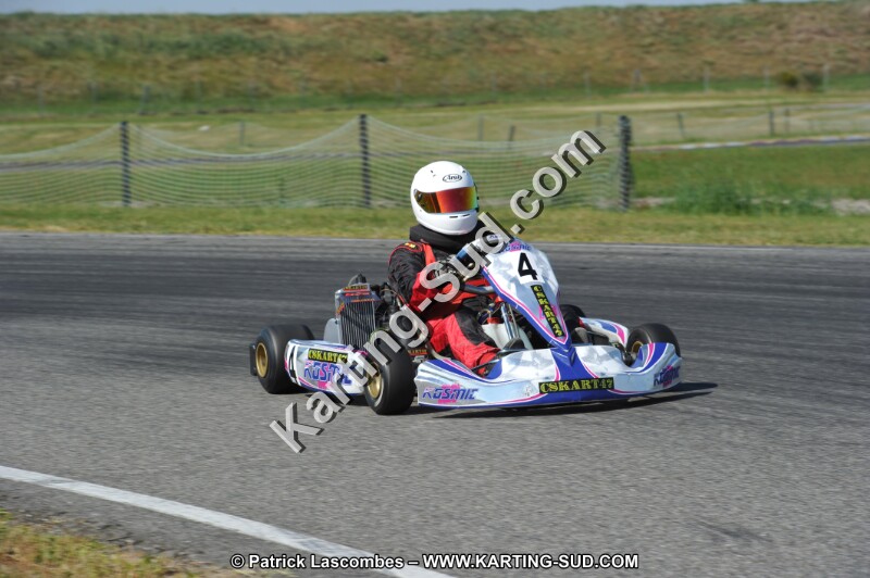 DSC_6767.JPG