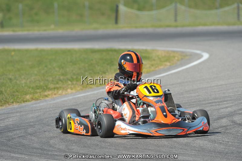 DSC_4529.JPG