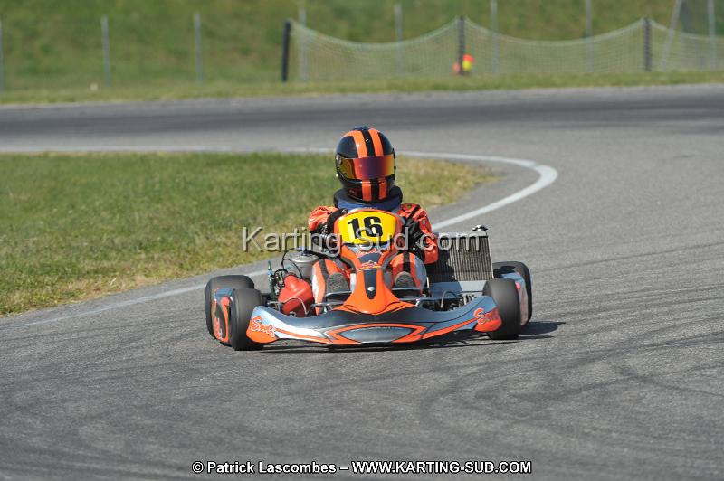 DSC_4563.JPG