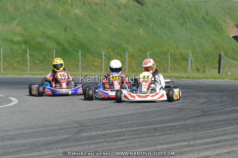 DSC_6013.JPG